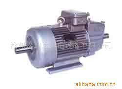 滄州泰瑞達機電設備 特殊電機產品列表